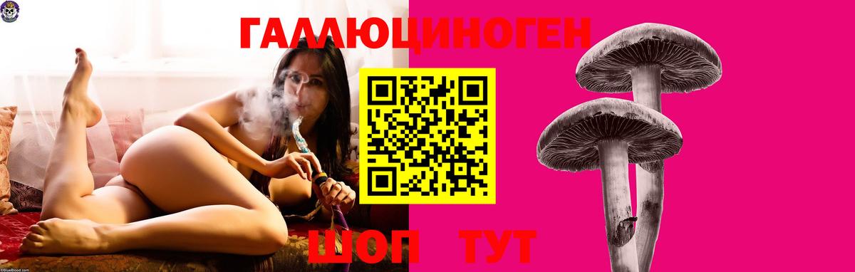 Саянск  Галлюциногенные грибы мухоморы  Вход с VPN 